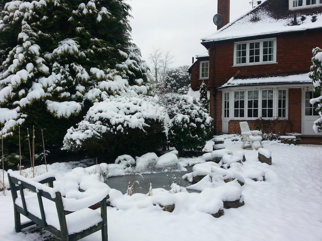 Claygate Rosemead Guest House מראה חיצוני תמונה