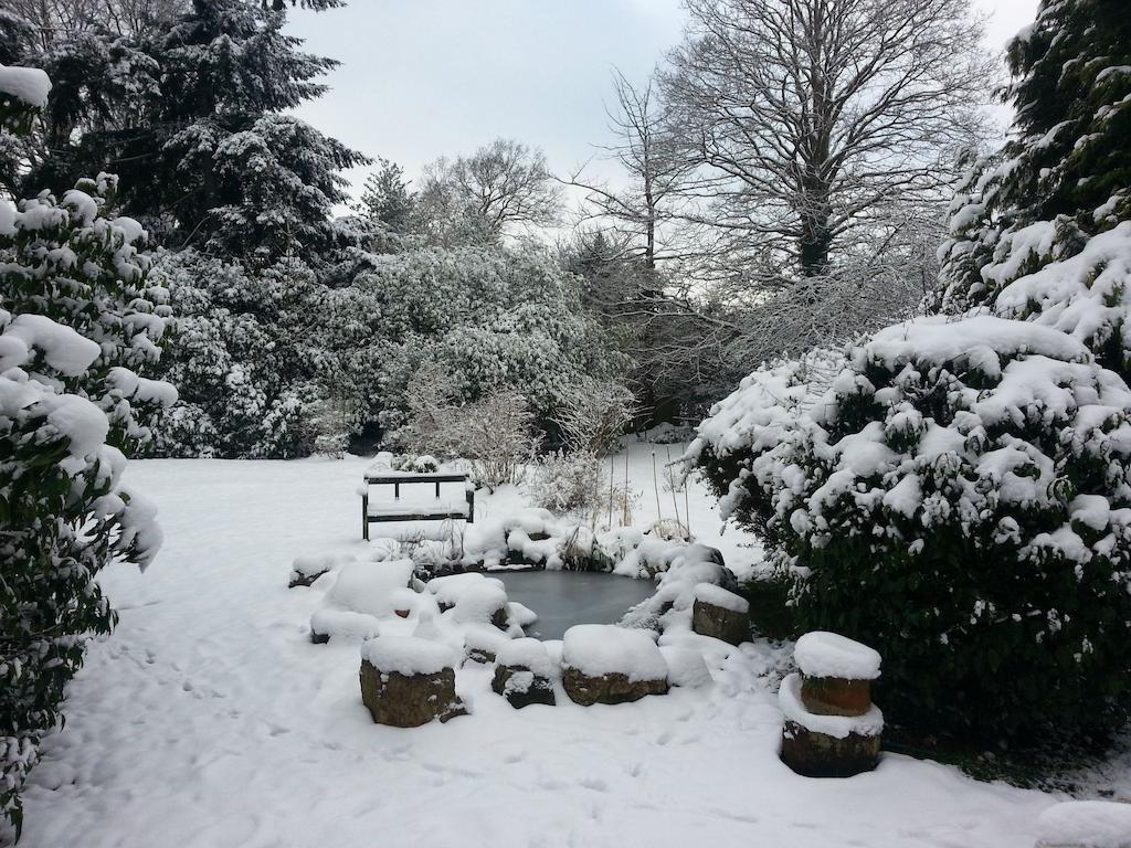 Claygate Rosemead Guest House מראה חיצוני תמונה