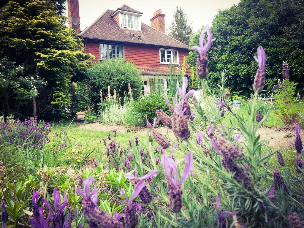 Claygate Rosemead Guest House מראה חיצוני תמונה